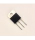 BDV 65C - SEMICONDUCTORES  -   -